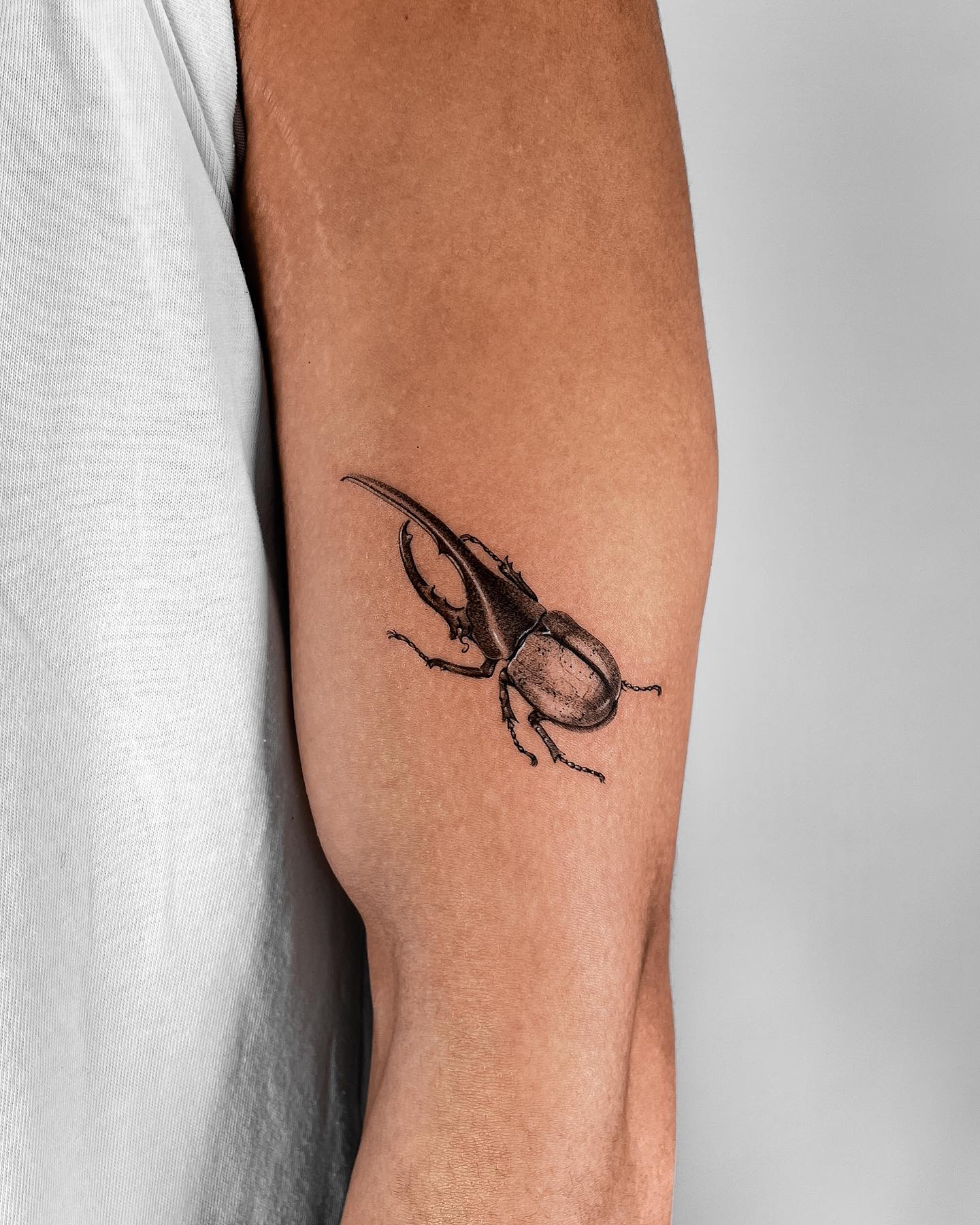 Rhinoceros Beetle on White. Pattern or Tattoo Stock Illustration -  Illustration of scarab, isolated: 126662917